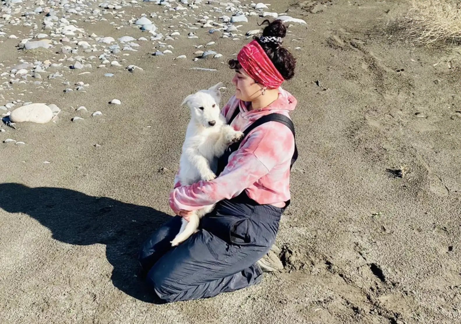 A woman is laying her beloved elderly dog to rest when an unexpectedly abandoned puppy shows up